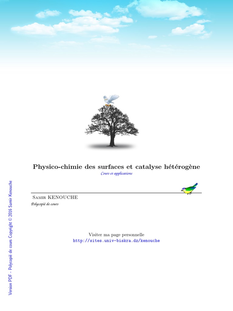 Physico-Chimie Des Surfaces Et Catalyse Hétérogène | PDF | Tension ...
