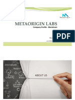 Blockchain Profile - Metaorigin Labs