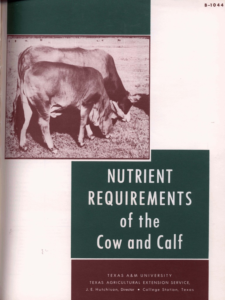 Nutritional Requirements of Beef Cows and Calves Energy Needs for