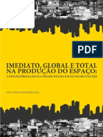 A Financiarizacao de Sao Paulo PDF