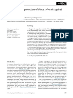 PINUS SYLVESTRIS Ectomycorrhizal - Protection - of - Pinus - Sylv PDF