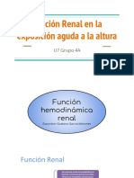 Fisiología Renal A La Altura