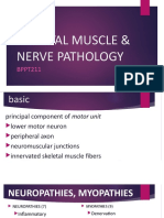 Skeletal Muscle & Nerve Pathology