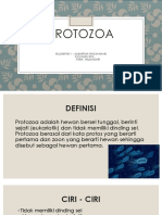 Protozoa