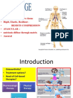 Cartilage Lecture