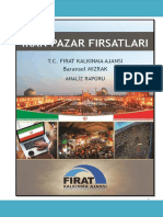 İran Pazar Firsatlari PDF