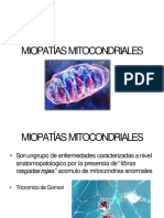 Miopatasmitocondriales 121112184449 Phpapp01