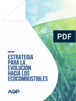 Estrategia para La Evolucion Hacia Los Ecocombustible - WEB PDF