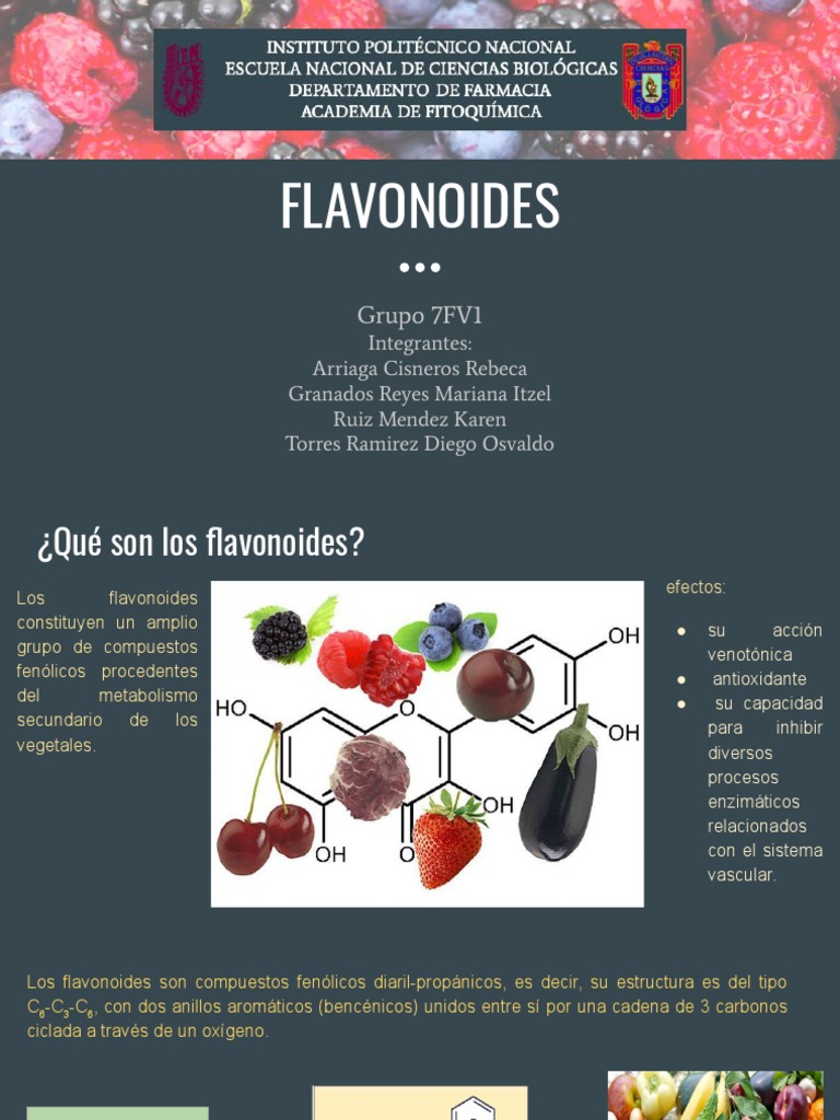 Propiedades y Clasificación de Flavonoides | PDF | Flavonoide ...