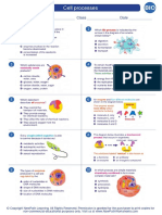 Worksheet Biology High School Cell Processes 3 0