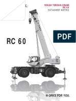 Grua Terex 60 TM