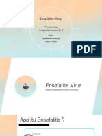DT Stase Ensefalitis Virus WIladatika