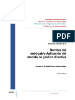 aplicacion del modelo de gestion directiva