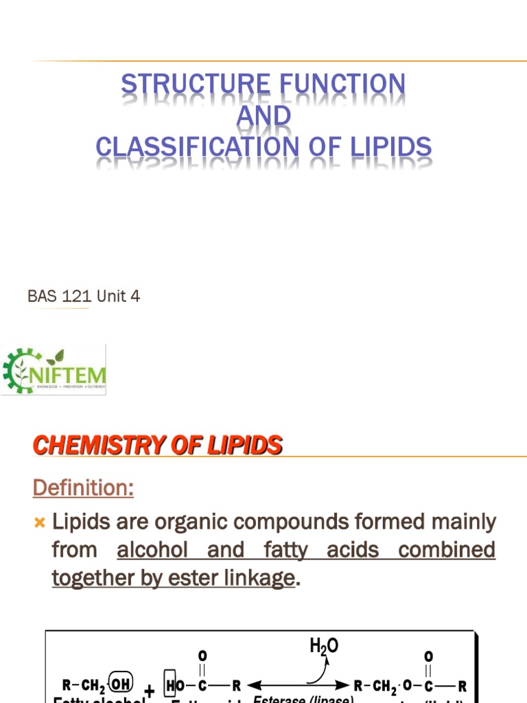 Classification and Functions of Lipids | PDF | Triglyceride | Lipid
