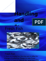 Fish - Tle