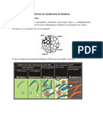Clasificacion de Dunham