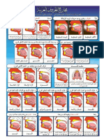 Makharij Al Huroof Colour diagram