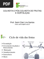 Colheita_e_Pós_Colheita_matérias-primas.ppt