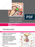 anatomia del eje hipotlamo hipofisario