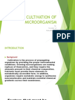 Cultivation of Microorganism