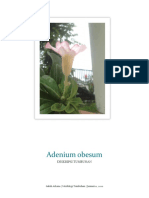 Deskripsi Adenium Obesum