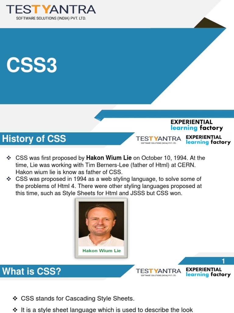 TestYantra - ELF - CSS | PDF | Cascading Style Sheets | Html