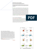 DNA Replication and Causes of Mutation