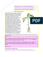 Factors Affecting The Rate of Photosynthesis