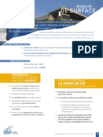 Mineur_de_Surface_2012.pdf