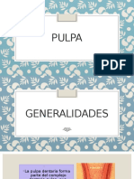 Pulpa 131113190153 Phpapp01