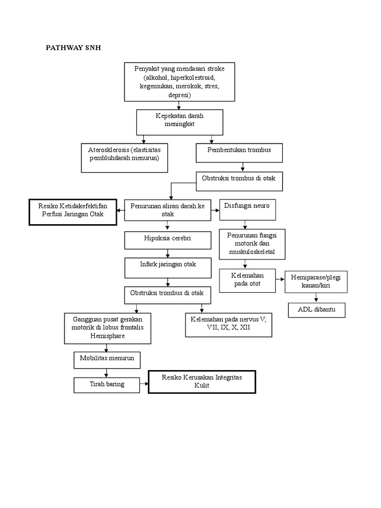 Pathway SNH | PDF