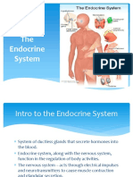 The-Endocrine-System