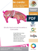 Carne_de_Cerdo_sagarpa.pdf