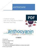 Prezentare Antociani.ppt