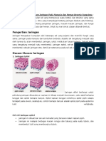 Jaringan Tubuh