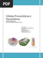 Trabalho Alex & Gui 11112017.pdf