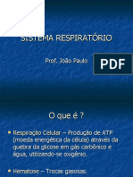 Aula de Sistema Respiratório