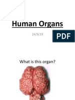Y7 - Human Organs