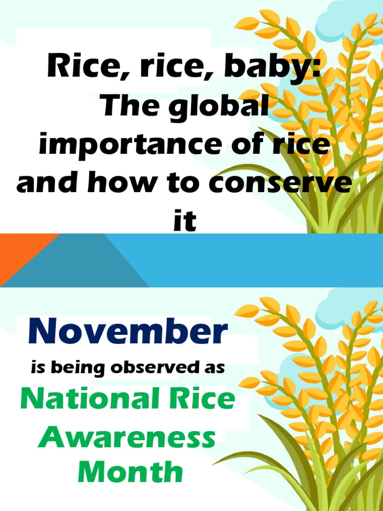 Rice Conservation PPT Final | PDF | Staple Foods | Rice
