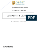 Apoptosis y Cáncer - PDF Versión 1