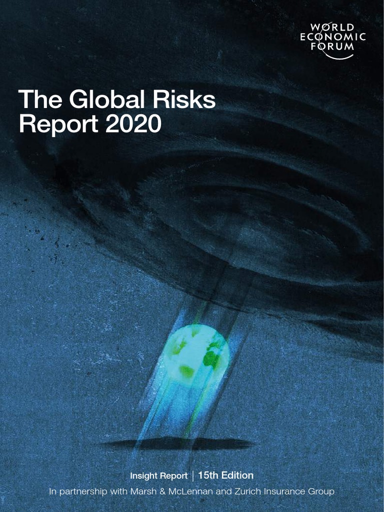 WEF Global Risk Report 2020 PDF PDF Risk Climate Change Mitigation
