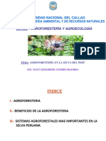 Agrof 5. Agroforesteria Selva Peru 2019