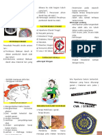 Leaflet Cva Infark (Stroke)