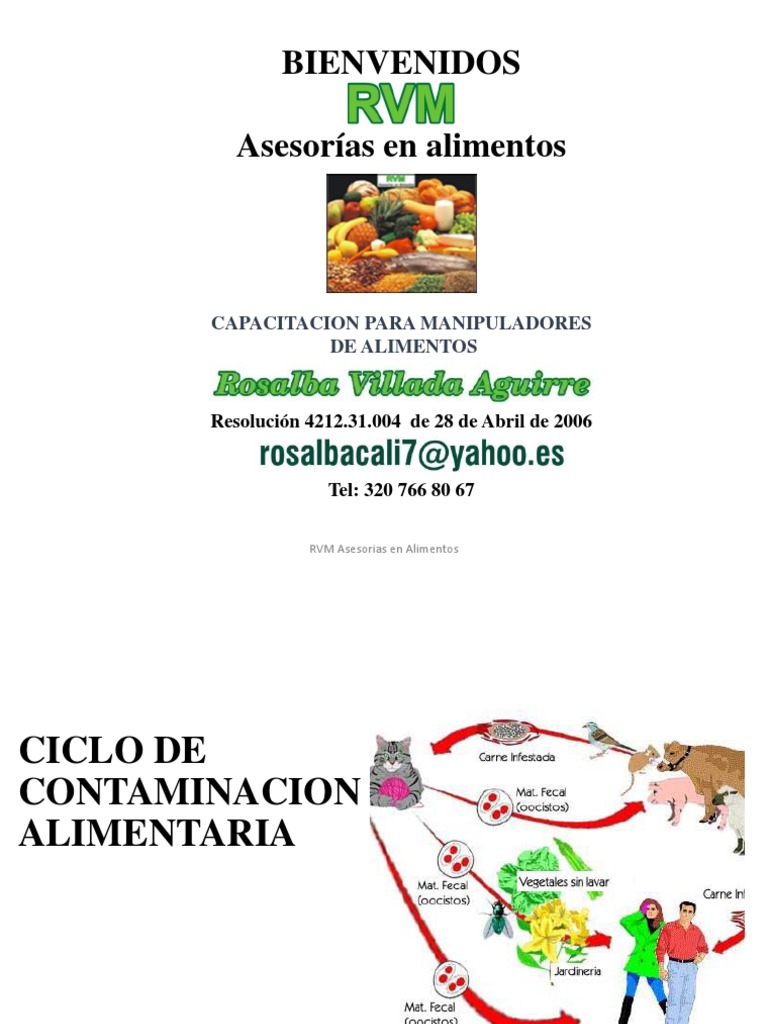 Ciclo de Contaminación Alimentaria | PDF | Alimentos | Microorganismo