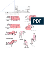 Gambar Posisi PD Manusia