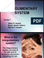 176 Anatomy Integumentary System