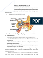 Indera Pendengaran