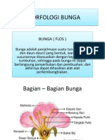 Morfologi Bunga