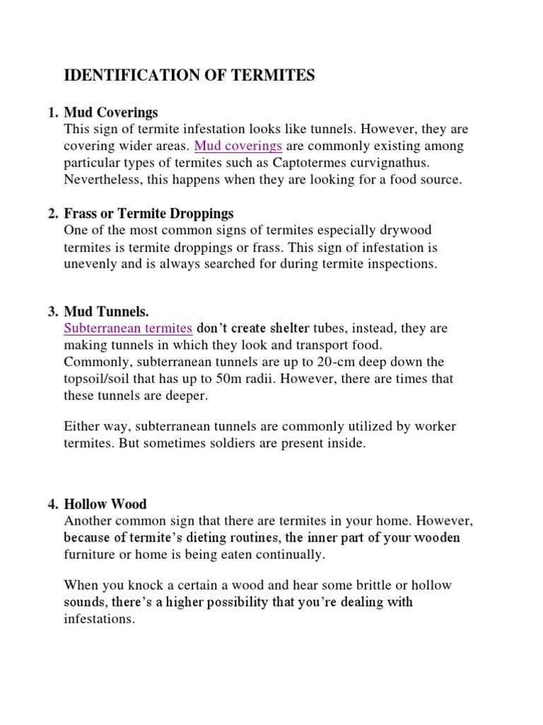Signs and Identification of Termites | PDF | Wood | Building