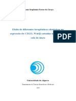 Tese Versão Final - PDF Final